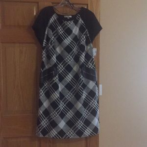 Sandra Darren plus Size Dress